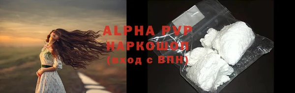 СК Алексин