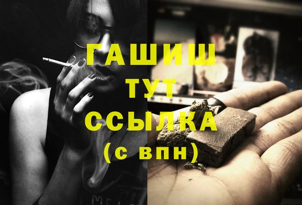 СК Алексин