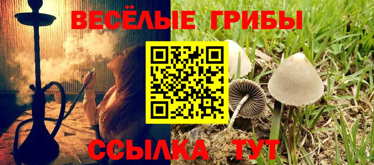Псилоцибиновые грибы Psilocybine cubensis  Вход с VPN  Йошкар-Ола  Псилоцибиновые грибы прущие грибы 